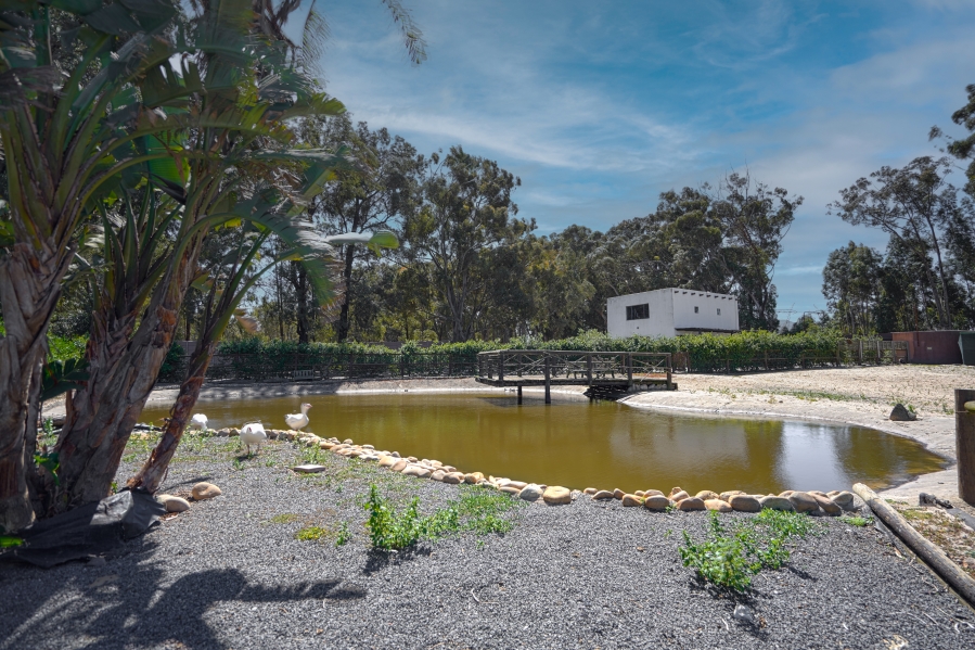 Commercial Property for Sale in Cape Farms Western Cape